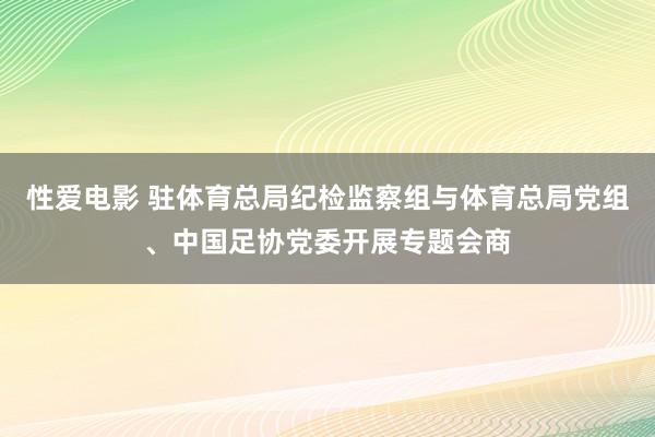 性爱电影 驻体育总局纪检监察组与体育总局党组、中国足协党委开展专题会商