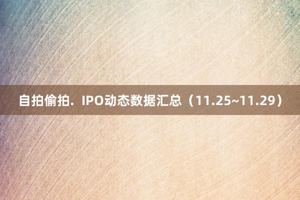 自拍偷拍.  IPO动态数据汇总（11.25~11.29）