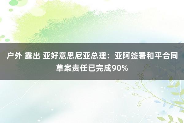 户外 露出 亚好意思尼亚总理：亚阿签署和平合同草案责任已完成90%