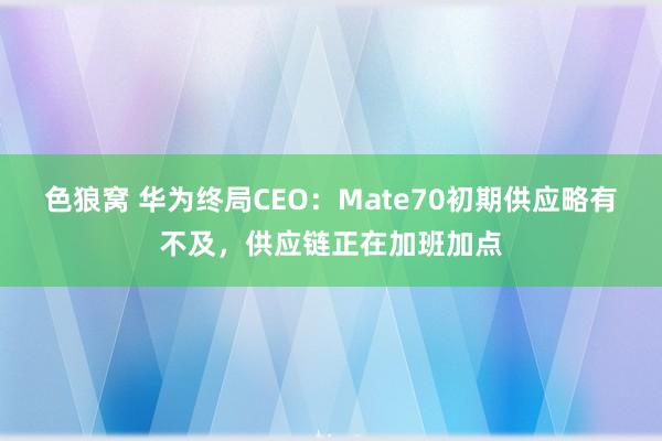 色狼窝 华为终局CEO：Mate70初期供应略有不及，供应链正在加班加点