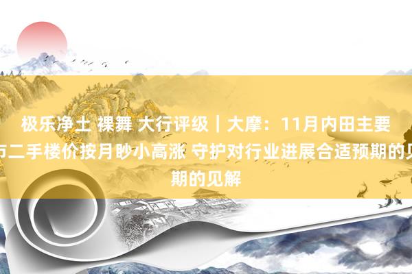 极乐净土 裸舞 大行评级｜大摩：11月内田主要城市二手楼价按月眇小高涨 守护对行业进展合适预期的见解