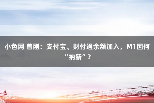 小色网 曾刚：支付宝、财付通余额加入，M1因何“纳新”？