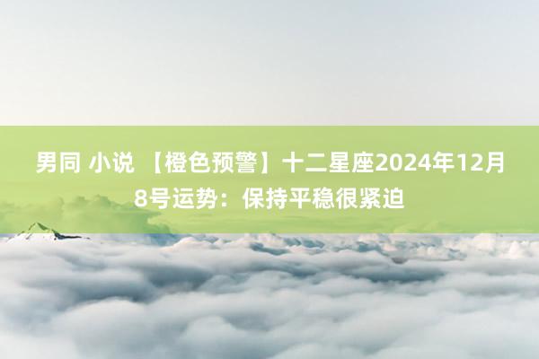 男同 小说 【橙色预警】十二星座2024年12月8号运势：保持平稳很紧迫