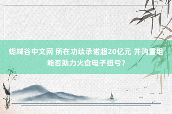 蝴蝶谷中文网 所在功绩承诺超20亿元 并购重组能否助力火食电子扭亏？