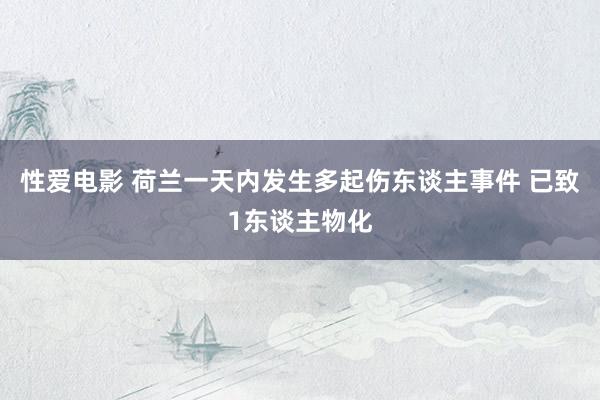 性爱电影 荷兰一天内发生多起伤东谈主事件 已致1东谈主物化