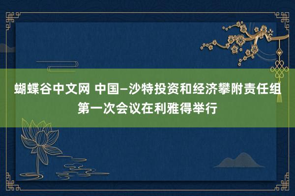 蝴蝶谷中文网 中国—沙特投资和经济攀附责任组第一次会议在利雅得举行