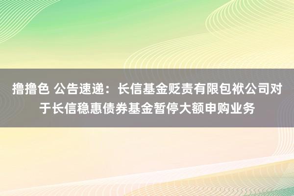 撸撸色 公告速递：长信基金贬责有限包袱公司对于长信稳惠债券基金暂停大额申购业务