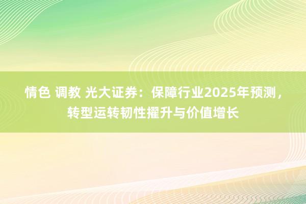 情色 调教 光大证券：保障行业2025年预测，转型运转韧性擢升与价值增长