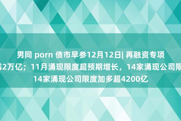 男同 porn 债市早参12月12日| 再融资专项债置换隐债已流露2万亿；11月涌现限度超预期增长，14家涌现公司限度加多超4200亿