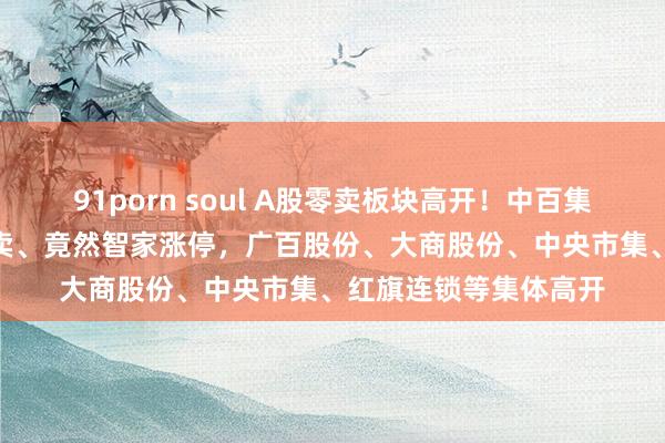 91porn soul A股零卖板块高开！中百集团10天7板，茂业买卖、竟然智家涨停，广百股份、大商股份、中央市集、红旗连锁等集体高开