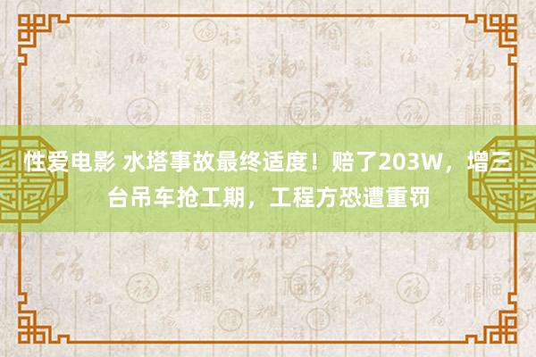 性爱电影 水塔事故最终适度！赔了203W，增三台吊车抢工期，工程方恐遭重罚