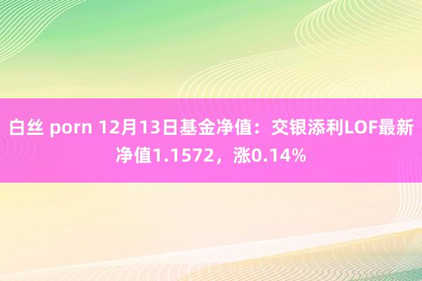 白丝 porn 12月13日基金净值：交银添利LOF最新净值1.1572，涨0.14%