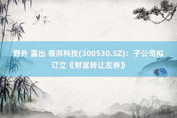 野外 露出 领湃科技(300530.SZ)：子公司拟订立《财富转让左券》