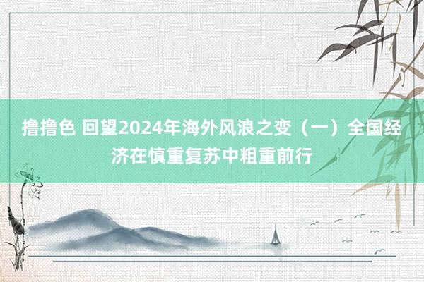 撸撸色 回望2024年海外风浪之变（一）全国经济在慎重复苏中粗重前行