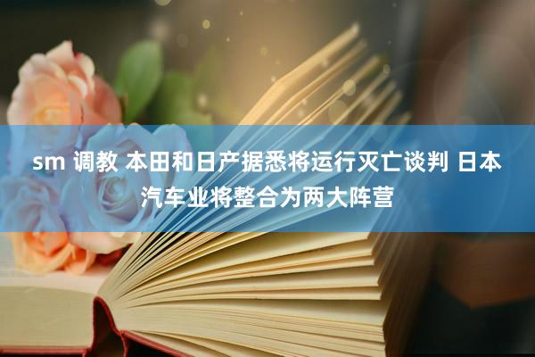 sm 调教 本田和日产据悉将运行灭亡谈判 日本汽车业将整合为两大阵营