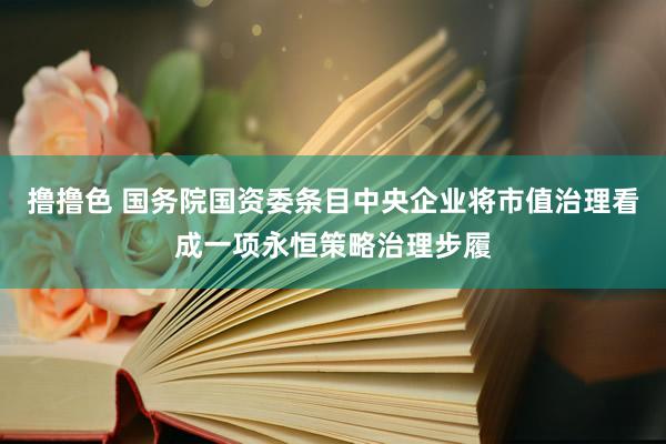 撸撸色 国务院国资委条目中央企业将市值治理看成一项永恒策略治理步履