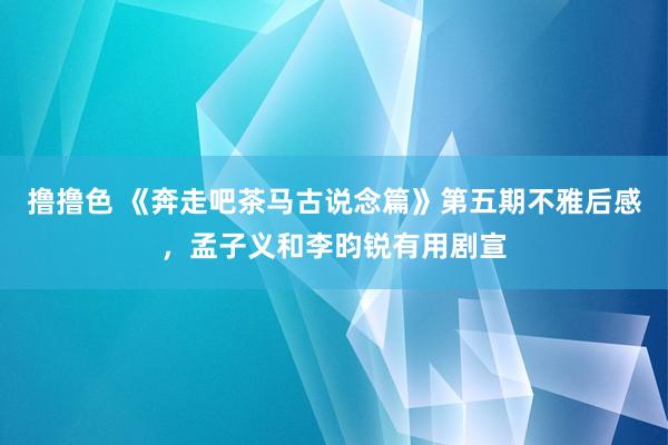 撸撸色 《奔走吧茶马古说念篇》第五期不雅后感，孟子义和李昀锐有用剧宣