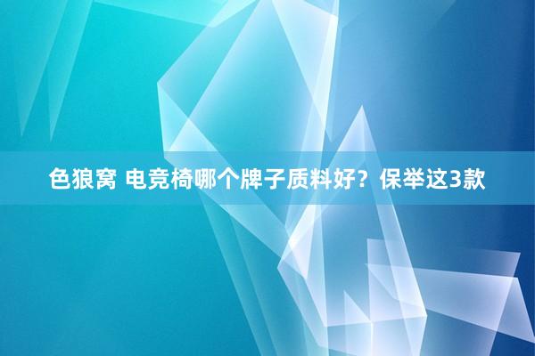 色狼窝 电竞椅哪个牌子质料好？保举这3款