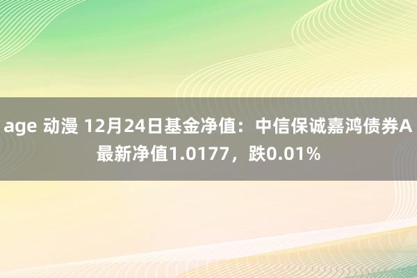 age 动漫 12月24日基金净值：中信保诚嘉鸿债券A最新净值1.0177，跌0.01%