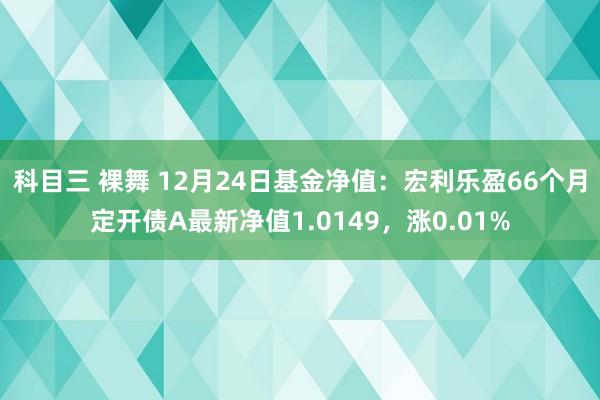 科目三 裸舞 12月24日基金净值：宏利乐盈66个月定开债A最新净值1.0149，涨0.01%