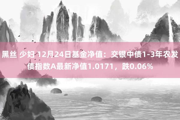 黑丝 少妇 12月24日基金净值：交银中债1-3年农发债指数A最新净值1.0171，跌0.06%