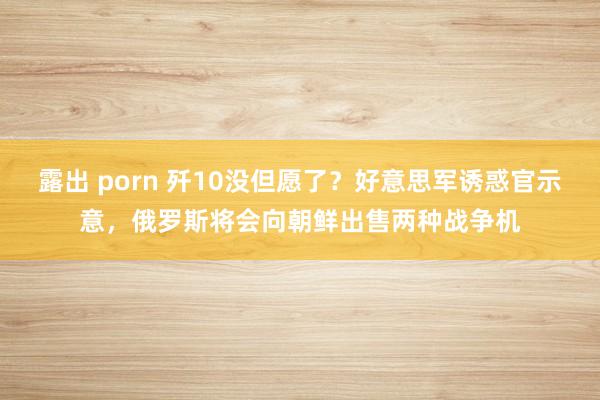 露出 porn 歼10没但愿了？好意思军诱惑官示意，俄罗斯将会向朝鲜出售两种战争机