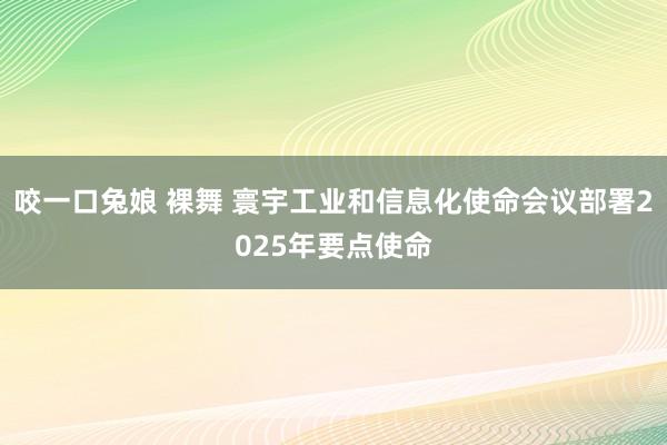 咬一口兔娘 裸舞 寰宇工业和信息化使命会议部署2025年要点使命