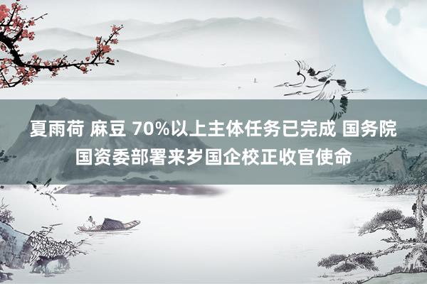 夏雨荷 麻豆 70%以上主体任务已完成 国务院国资委部署来岁国企校正收官使命