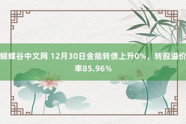 蝴蝶谷中文网 12月30日金能转债上升0%，转股溢价率85.96%