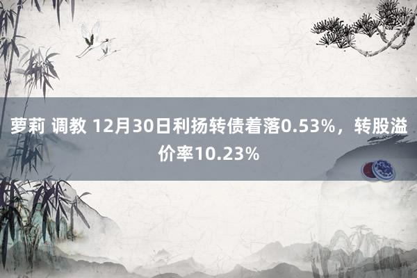 萝莉 调教 12月30日利扬转债着落0.53%，转股溢价率10.23%