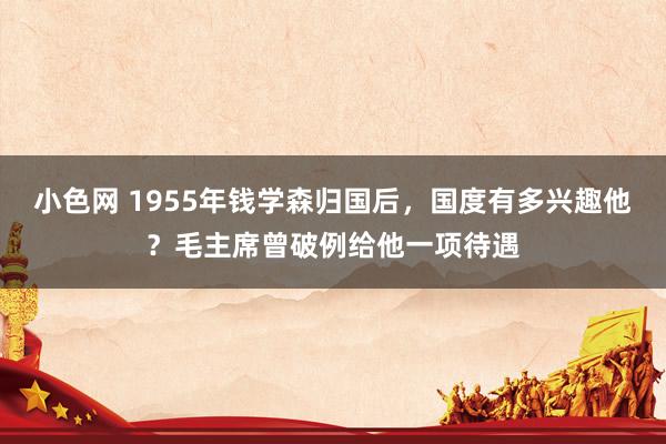 小色网 1955年钱学森归国后，国度有多兴趣他？毛主席曾破例给他一项待遇