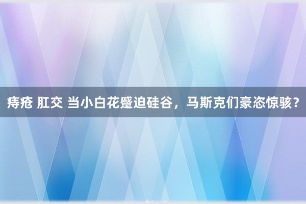 痔疮 肛交 当小白花蹙迫硅谷，马斯克们豪恣惊骇？