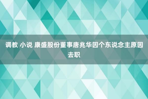 调教 小说 康盛股份董事唐兆华因个东说念主原因去职