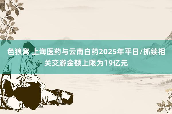 色狼窝 上海医药与云南白药2025年平日/抓续相关交游金额上限为19亿元