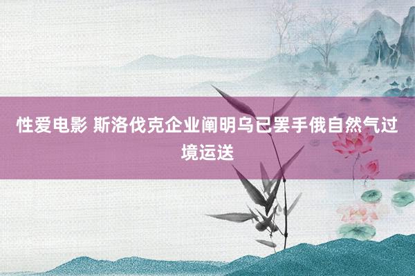 性爱电影 斯洛伐克企业阐明乌已罢手俄自然气过境运送