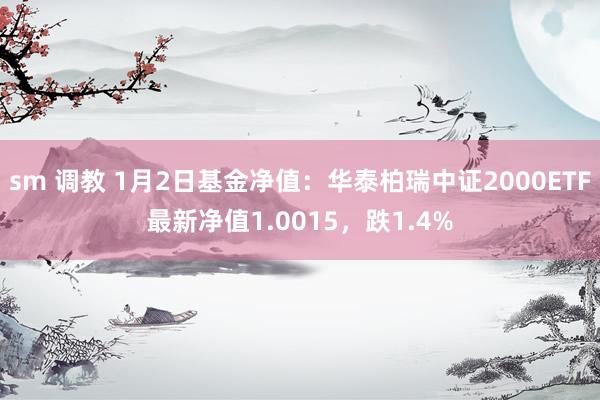 sm 调教 1月2日基金净值：华泰柏瑞中证2000ETF最新净值1.0015，跌1.4%