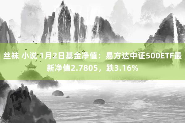 丝袜 小说 1月2日基金净值：易方达中证500ETF最新净值2.7805，跌3.16%