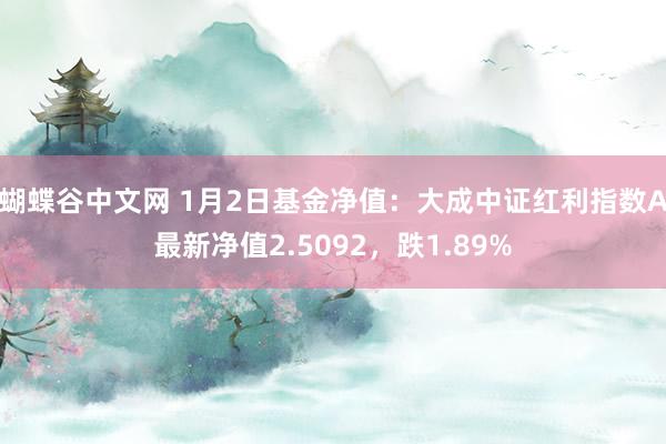 蝴蝶谷中文网 1月2日基金净值：大成中证红利指数A最新净值2.5092，跌1.89%