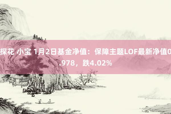 探花 小宝 1月2日基金净值：保障主题LOF最新净值0.978，跌4.02%