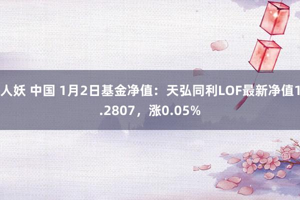 人妖 中国 1月2日基金净值：天弘同利LOF最新净值1.2807，涨0.05%