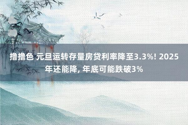 撸撸色 元旦运转存量房贷利率降至3.3%! 2025年还能降， 年底可能跌破3%