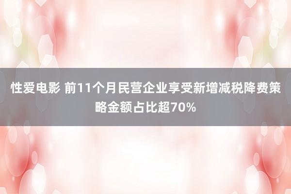 性爱电影 前11个月民营企业享受新增减税降费策略金额占比超70%