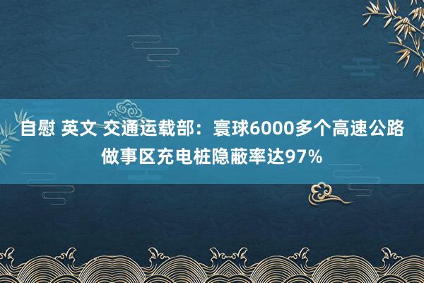 自慰 英文 交通运载部：寰球6000多个高速公路做事区充电桩隐蔽率达97%