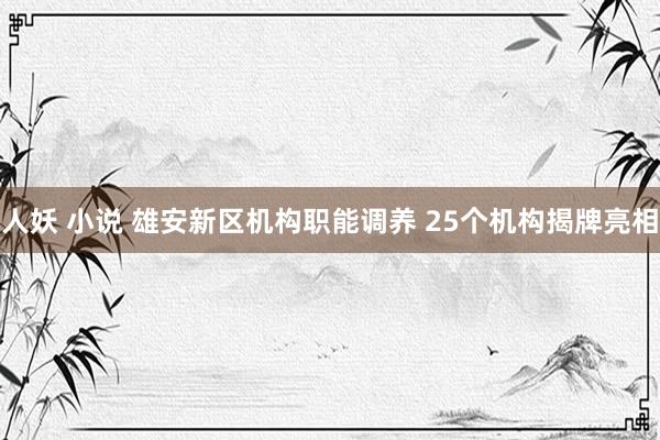 人妖 小说 雄安新区机构职能调养 25个机构揭牌亮相