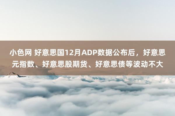 小色网 好意思国12月ADP数据公布后，好意思元指数、好意思股期货、好意思债等波动不大