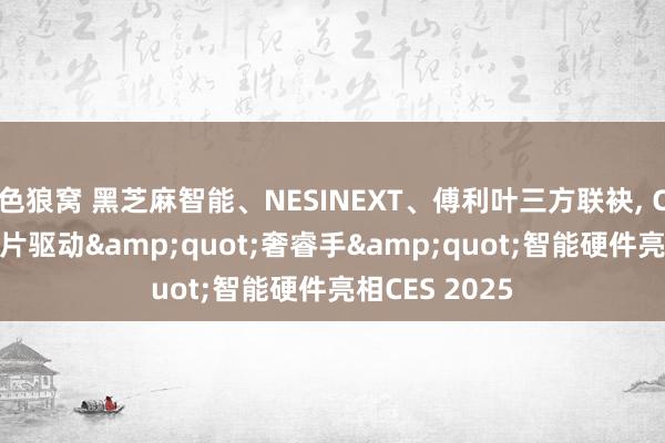 色狼窝 黑芝麻智能、NESINEXT、傅利叶三方联袂， C1200家眷芯片驱动&quot;奢睿手&quot;智能硬件亮相CES 2025