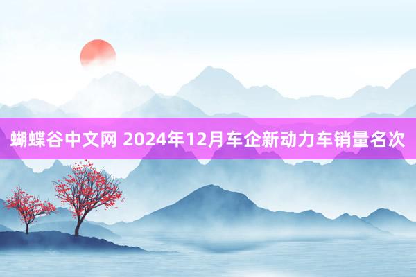 蝴蝶谷中文网 2024年12月车企新动力车销量名次