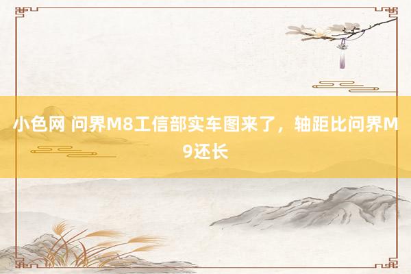 小色网 问界M8工信部实车图来了，轴距比问界M9还长