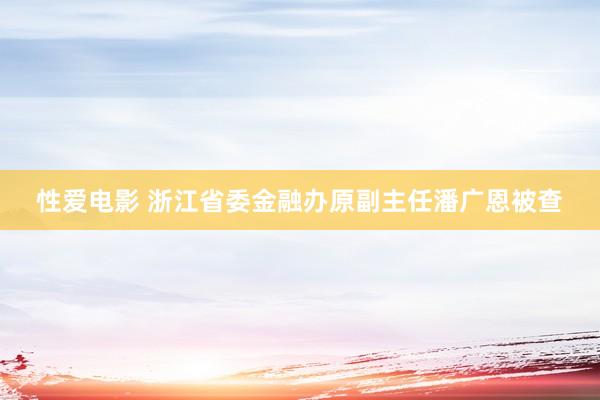 性爱电影 浙江省委金融办原副主任潘广恩被查