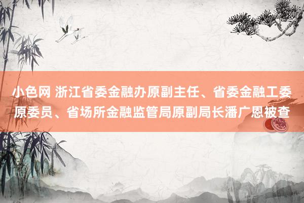 小色网 浙江省委金融办原副主任、省委金融工委原委员、省场所金融监管局原副局长潘广恩被查